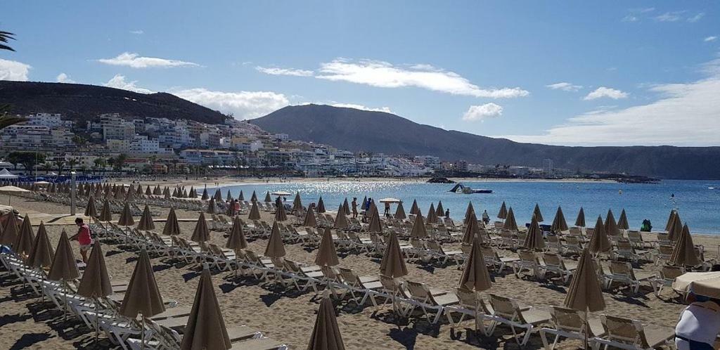 Jardines Canarios Los Cristianos  Εξωτερικό φωτογραφία